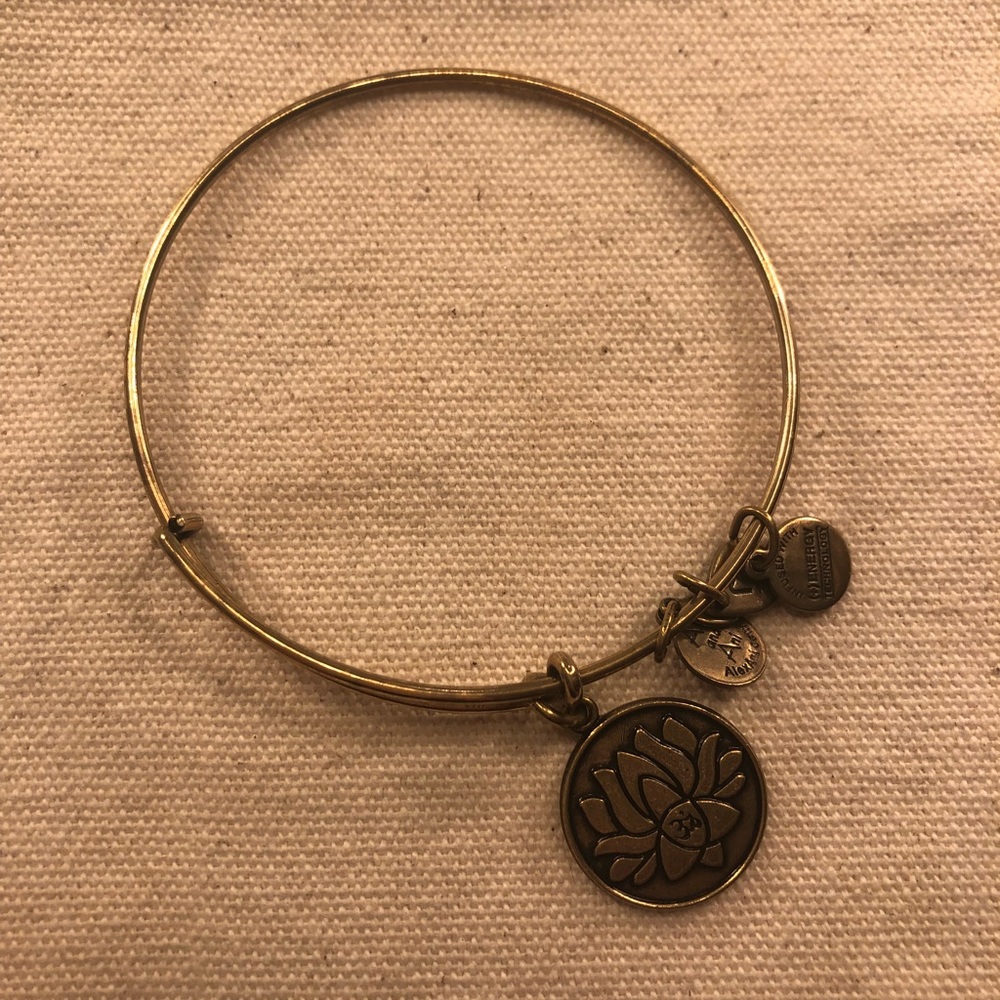 Alex and Ani Gold Bangle